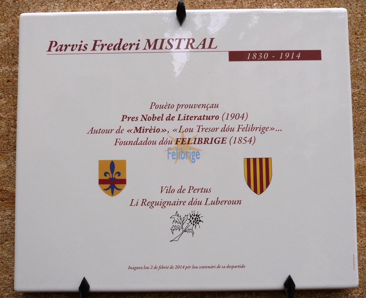 inaugparvismistral0214df (35)